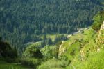 2014-07-05_Laengental-N-Hochweg (771). JPG